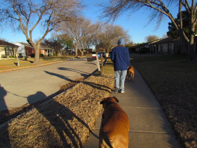 Daily Walk