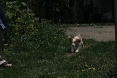 _MG_9073.JPG