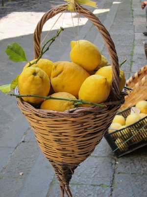 Lemons - everywhere........