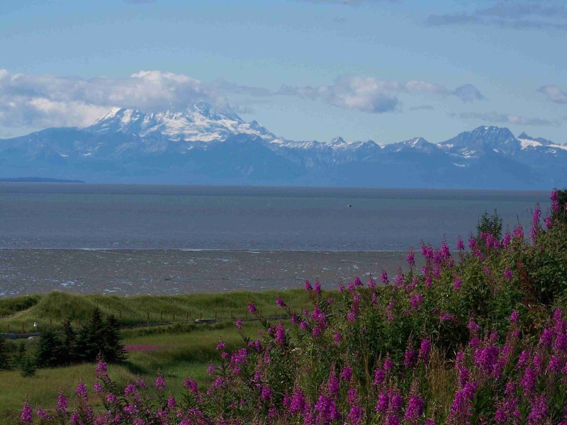 Mt Redoubt from Kenai city-5492