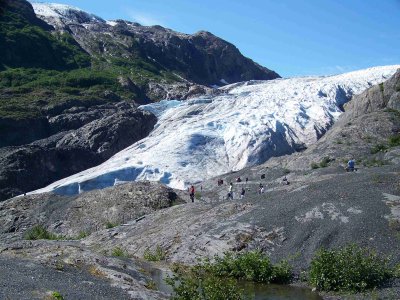 Exit Glacier-5265