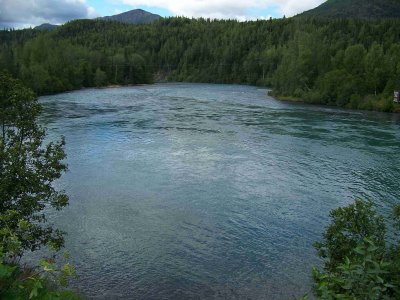 Kenai River-5517