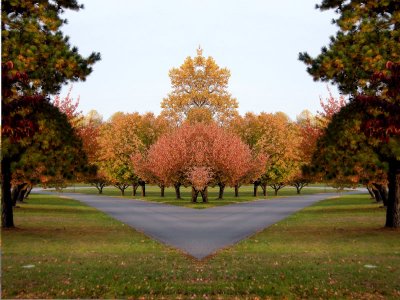 DSCN0572.jpg