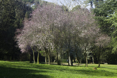 Next morning, back in the Gardens following incorrect GPS waypoint
