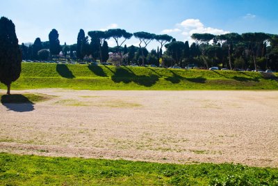 Circus Maximus foreground, Roman Pines along hill