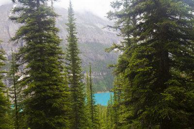 Morane Lake from trail