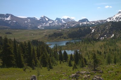 July 18 - Sunshine Meadows