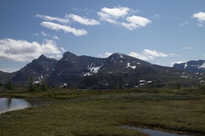 IMG_2248.jpg