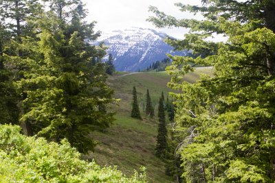 IMG_1859.jpg