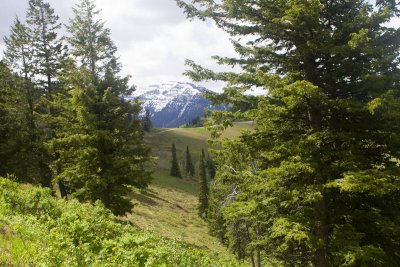 IMG_1863.jpg