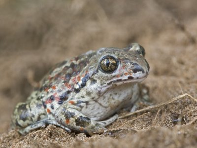 IMG_3474.jpg