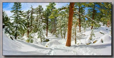 Snow Trail   2-IMG_2199-2200.jpg