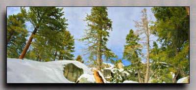 Snow scenery on trail treeking  2-IMG_2235 -2236.jpg