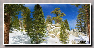 Snow scenery on trail treeking  2-IMG_2259 -2260.jpg