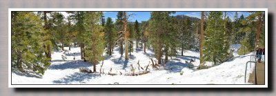 Snow scenery on trail treeking  7-IMG_2136 -2142 -.jpg