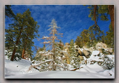 Snow scenery on trail treeking   IMG_2203.JPG