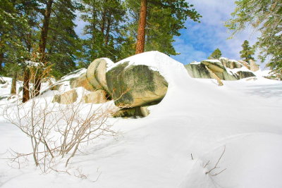 Snow scenery on trail treeking   IMG_2243.JPG