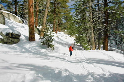  Snow trail   IMG_2261.JPG