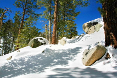 Snow scenery on trail treeking IMG_2278.JPG
