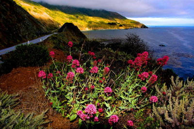 Big Sur ...Mountains meet the Sea