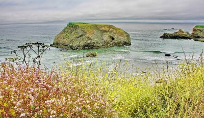 Lone beach  IMG_0732.JPG
