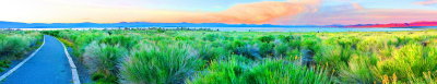 Trail to the shore of Mono Lake 8-IMG_8288-95 .jpg