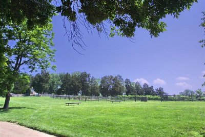 The acres IMG_0330.jpg