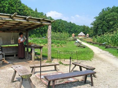 The farm   IMG_4882.jpg