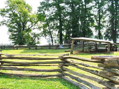 The farm  IMG_4883.jpg