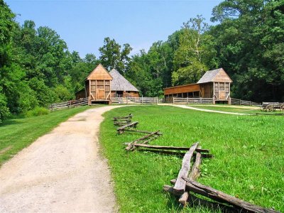 The farm   IMG_4886.jpg