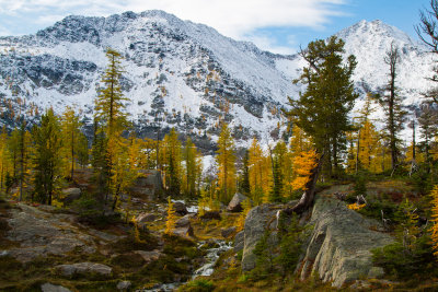 Flecks of gold surround the rushing waters.