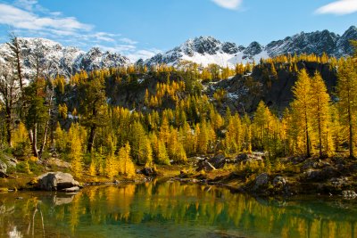 A study of Fall colors in the Alpine Lakes Wilderness