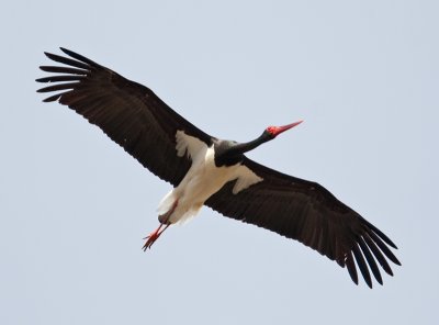 g4/96/890696/3/143254632.A93nETb3.jpg