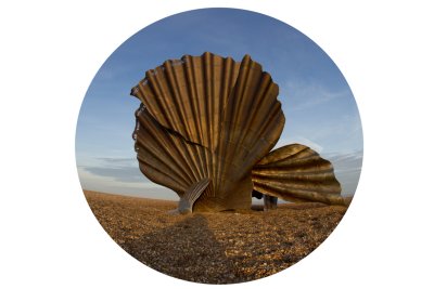 Scallop - Aldeburgh