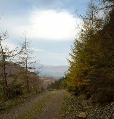 IMG_1139_1.jpg