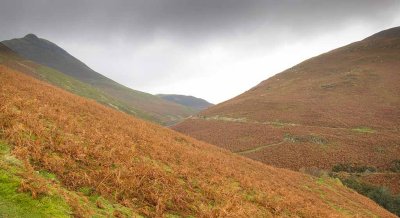 IMG_1983.jpg