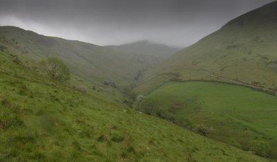 IMG_2556.jpg