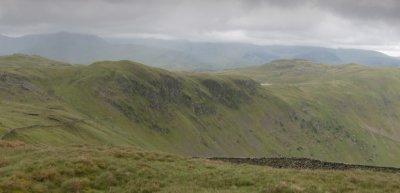 IMG_2571.jpg