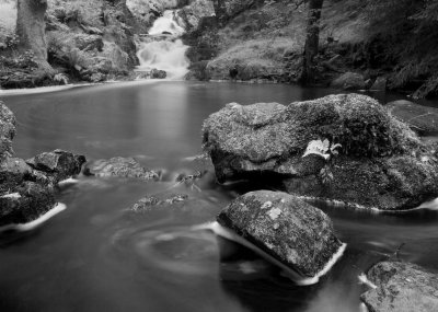 Dumfries & Galloway 1 !