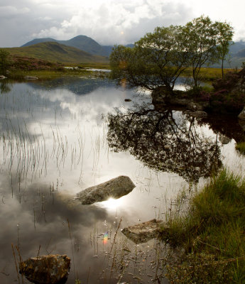 On Rannoch Moor