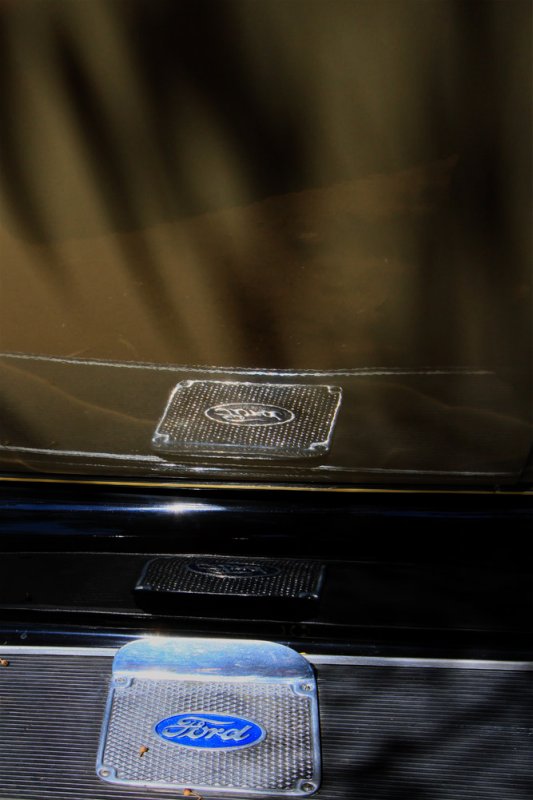 Ford step