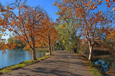 Lake Road