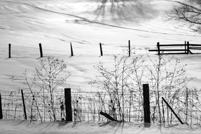 Fences in Snow