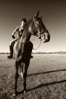 Sydney and Yankee