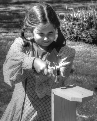 Birdhouse Builder