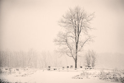 Shaker Cemetery