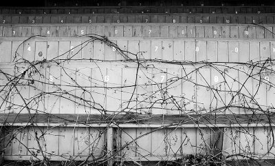 Encroaching