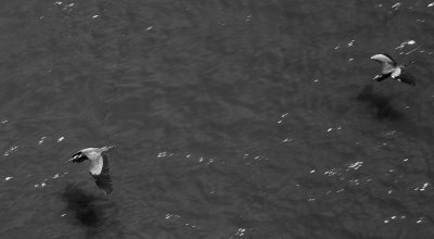 The Race Across Water