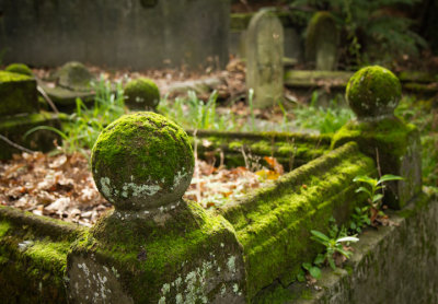 A Ball in the Afterlife