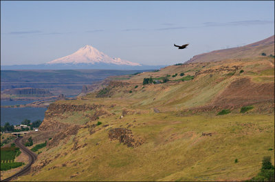 Along the Columbia River